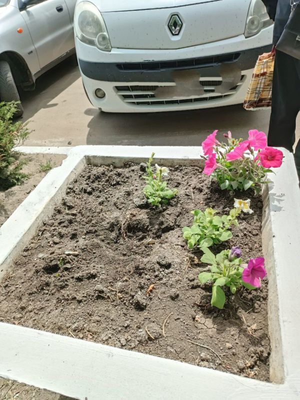 ������� ��������: ��������� ��� ���� ����� �� ���� ����������� ���������� ���������� ����������������