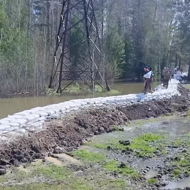 ������� �������: ���������� ���������� �����������������, ������� ������ ���� ����-����