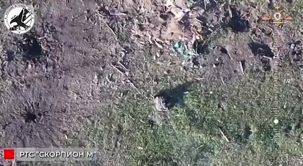 ����� ���������� ��������� ������-��������� "��������-�" ��� ������� ������� ��� � ������ �������������