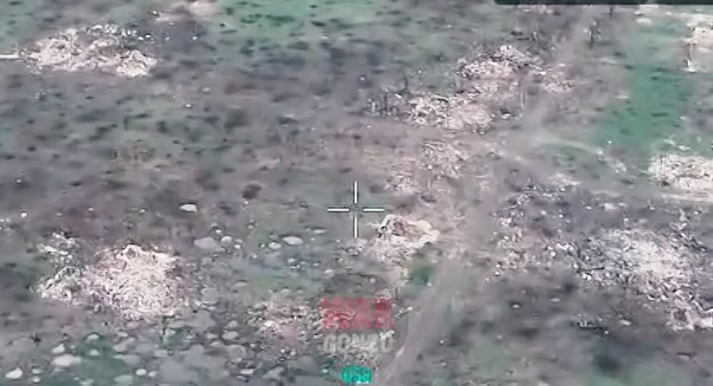 WarGonzo: �������� �������� ������� � ������ �������� �����