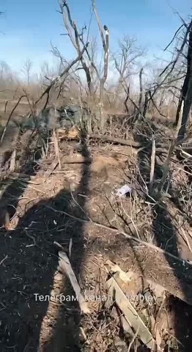 ������ �������: ���������� � ��� � �������� ���������� ���� Leopard 2A4 ��������� ������������ � �������������� ������� ����� �.� ������ �������� �������� ����������