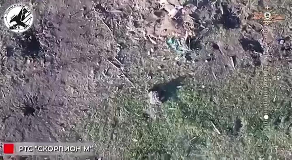 ������ �����-��������� ��������� ̻ ��������� �� ��