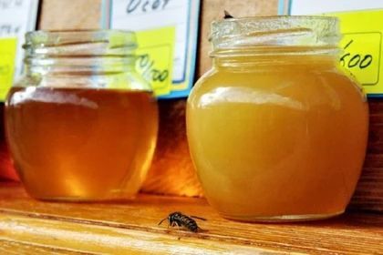 ����������� �� ����������� ���� ����� ����� ���������� ��� � ���