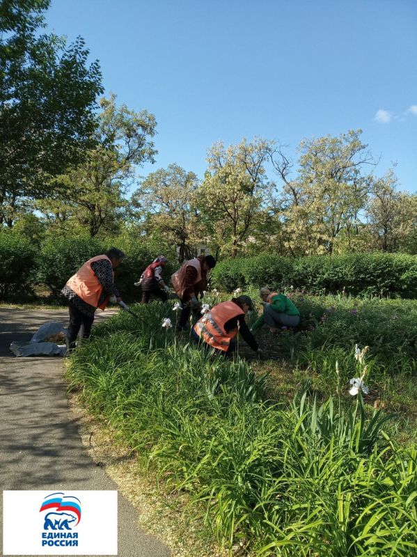 ���� �����������: �������, 16 ���, ���������� ������������ �����������, ����������, ����������� � ������ ����������...