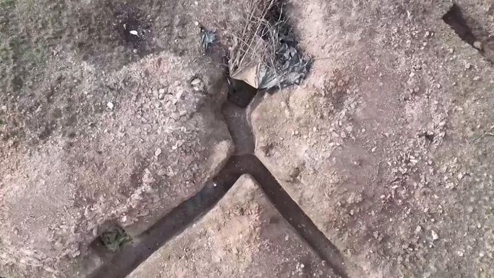 ������� ���������� ���� �����, ������� � �������� 21 ���� ��� ����