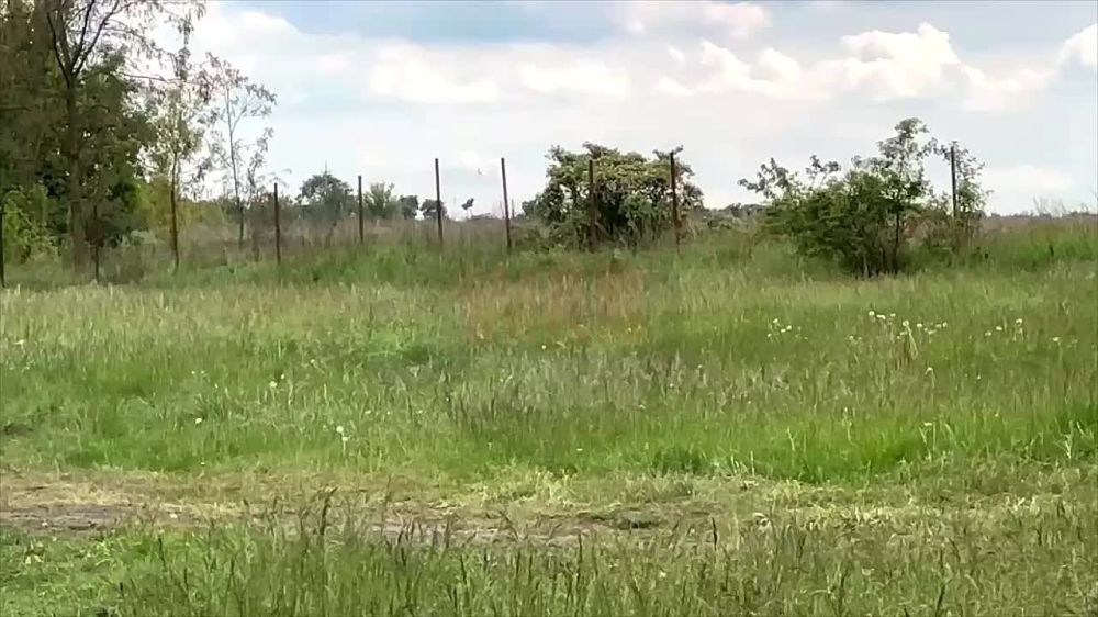 WarGonzo: ���������-������� ��������� �� ������ � ����� ������������