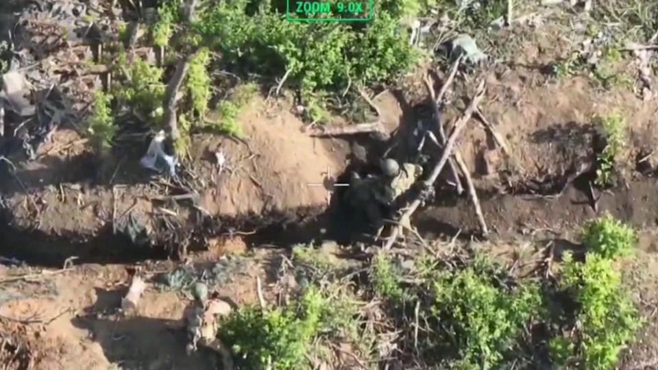 ����������� ��� ���� � ������ ������ ��� � �������� �������� ����������