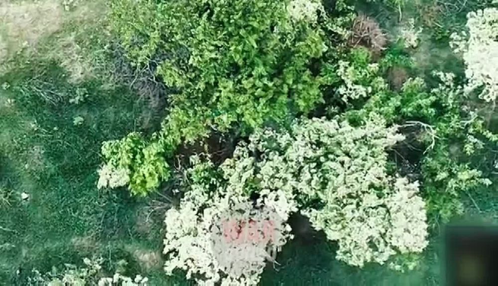 WarGonzo: �������� ����� 9-�� �������� ���������