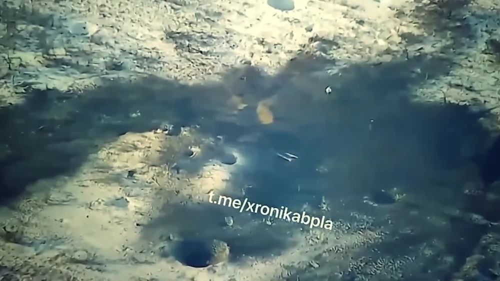 WarGonzo: ���� ������ � ������ ����� �����! �� ������!�