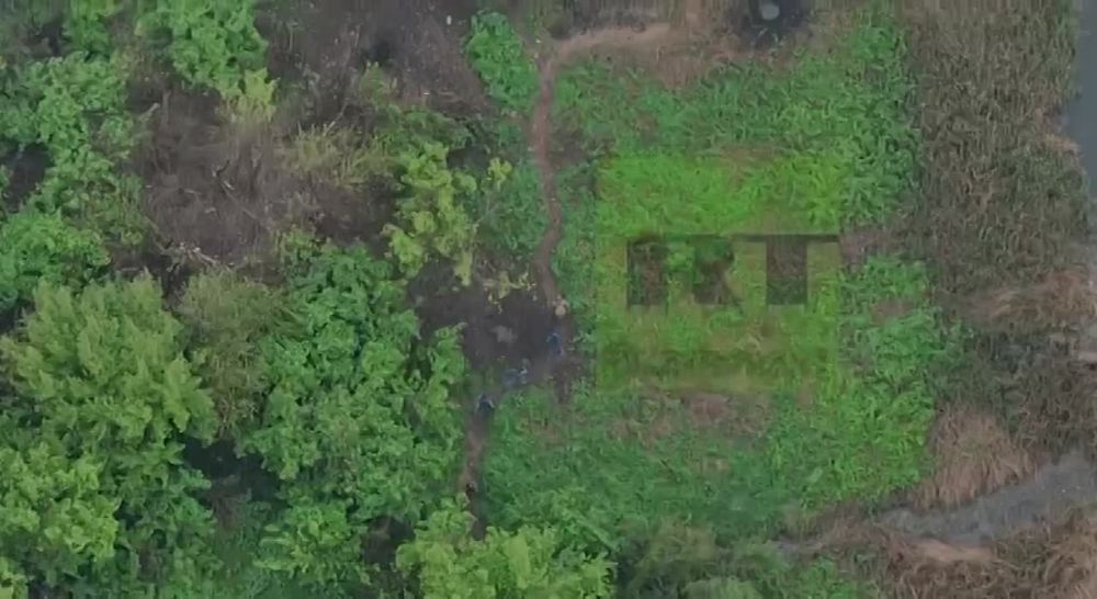 ����� ������: ������� ������ ��������� ������������ ����������