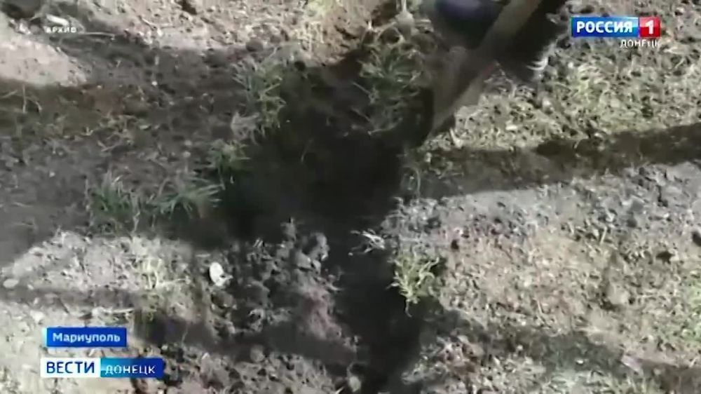 ����������� �������� ���� ������� ������������ ������� ������ �� ���������� �������������