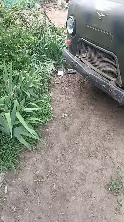 ������ ���, ����� �� ����� ������, �� �������� ����������� ������ �������