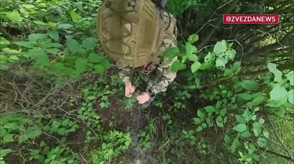 ��������� �������: �� ���������� ����������� ������ ��������� ��������� �����-���������