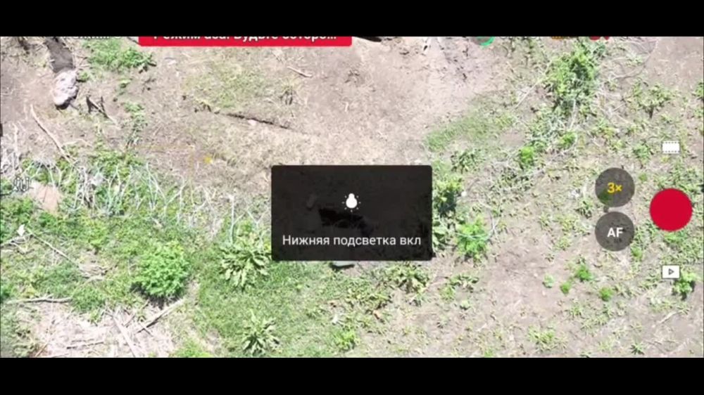 Дмитрий Стешин: Наши "Мавики" работают. "Сокольничий" передает привет и видео. На первом работает сам Мастер - вы видите, закидывает точно в амбразуру. На втором видео - работает ученик. "Сокольничий" поясняет: