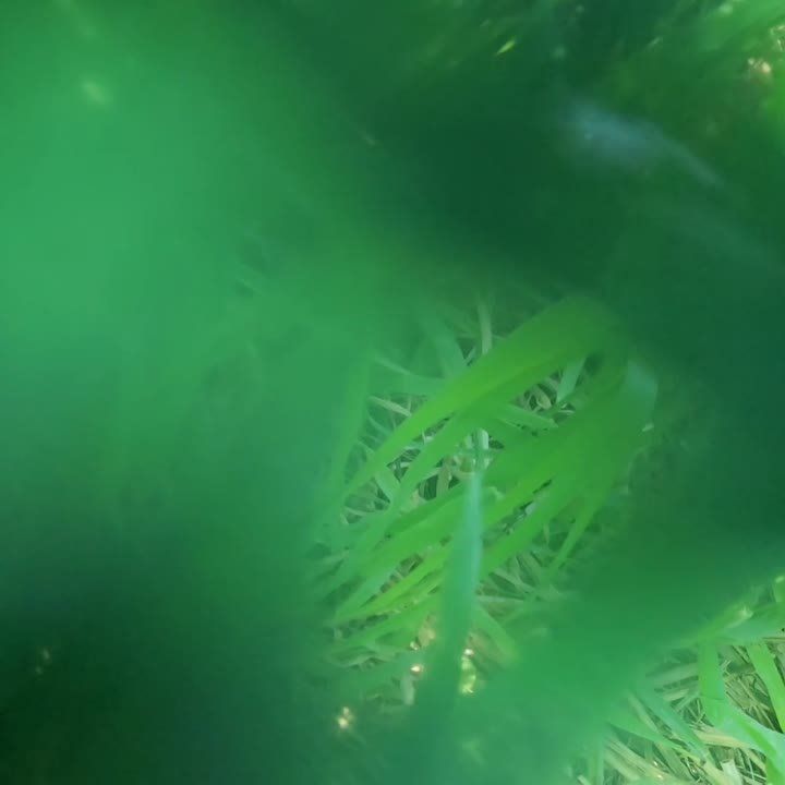 ���������� ���������� ����������� - ���������� ������� ���������