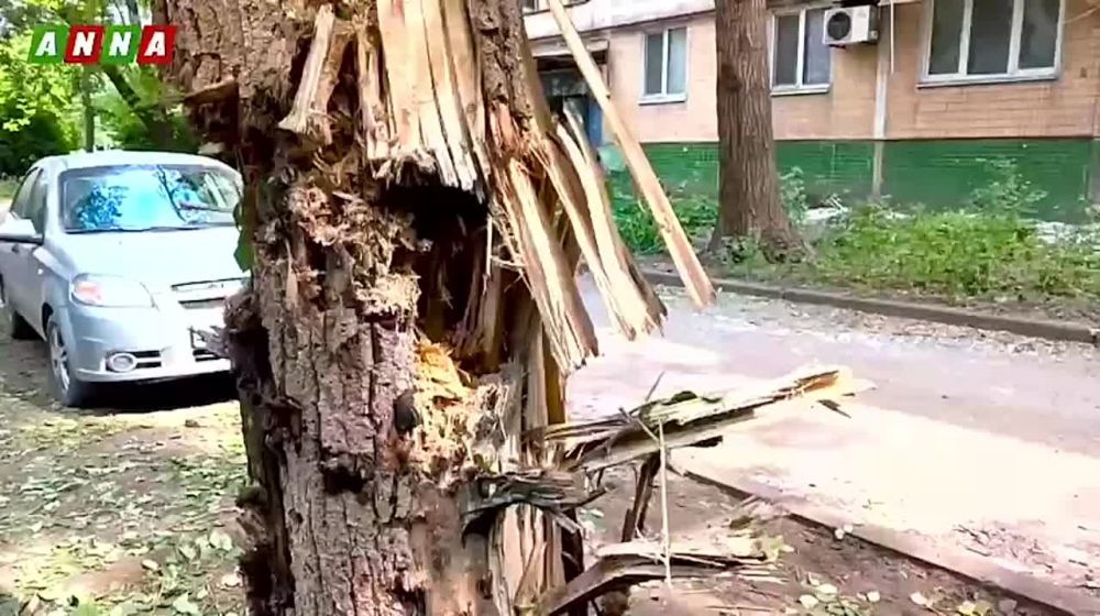 ����������� ��������� �������� ����������� ������ ������� 155-�� ���������