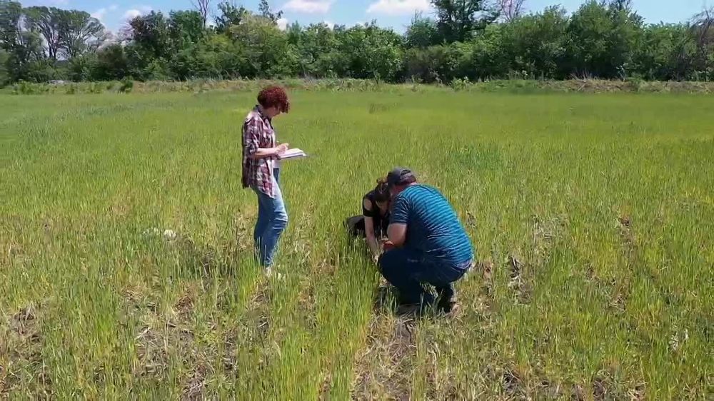 � ���������� ���������� ��������� ���������� ��������� ������� � �������������� ����������� �������