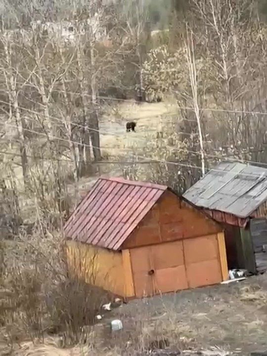 ���� ����: ������� ��������. � ��� � ������ ������� � ������