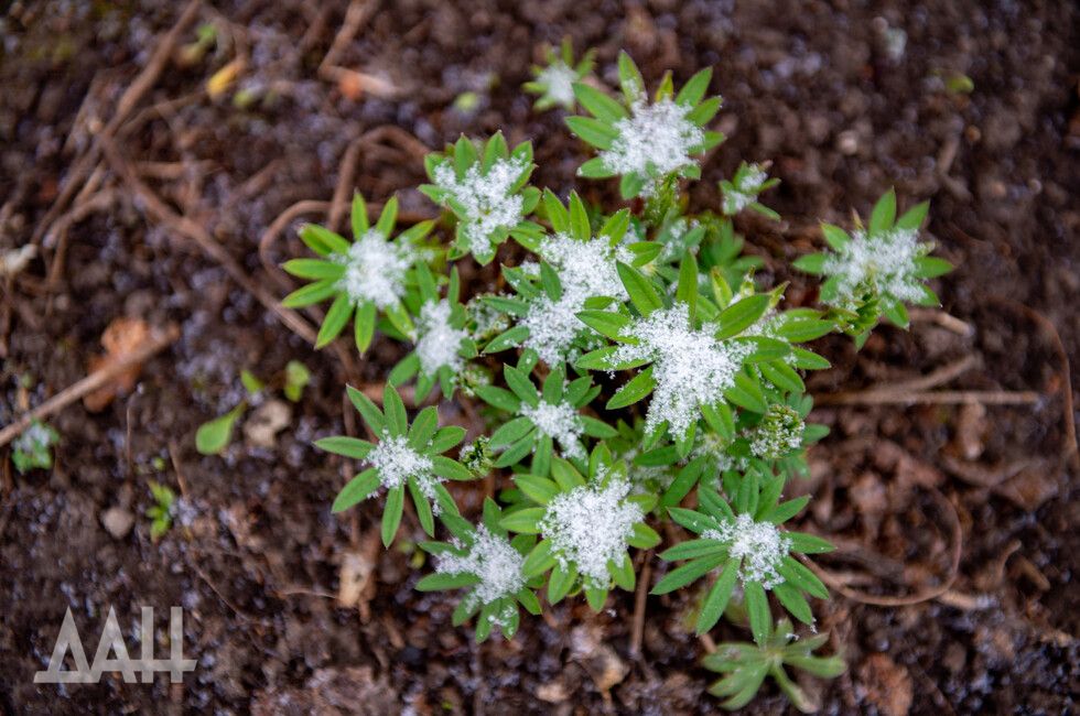 ��� �������������� ����������� ������� ���������� ��� �������� �����