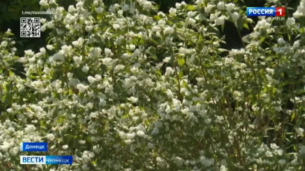 ����� �������� � �������� �������� ���������� � ����� �������