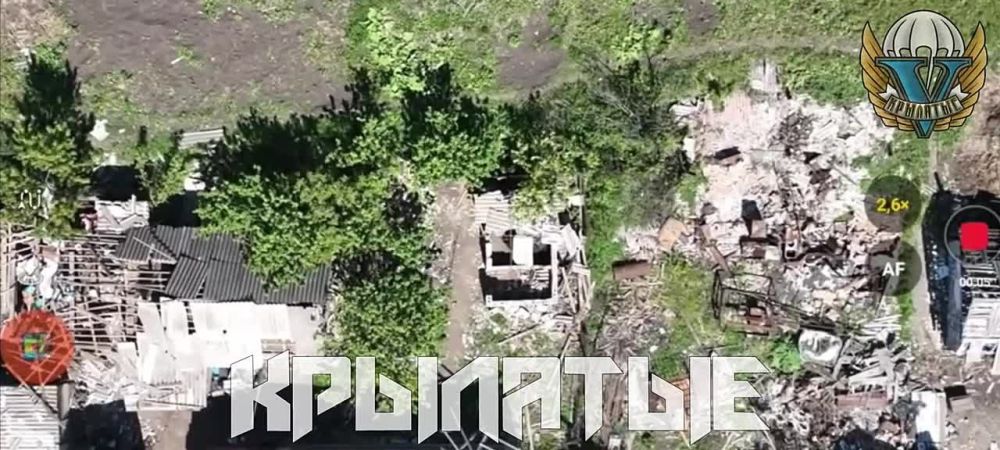 ����� �����: ����������� �����������