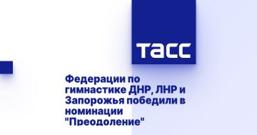 Федерации по гимнастике ДНР, ЛНР и Запорожья победили в номинации "Преодоление"