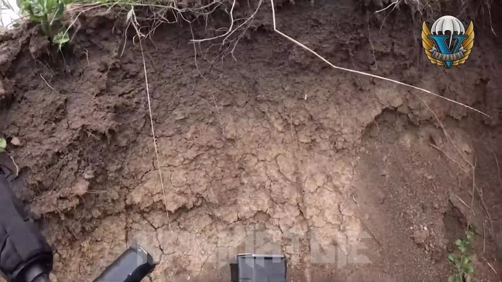 ����� �����: ����������� �����������