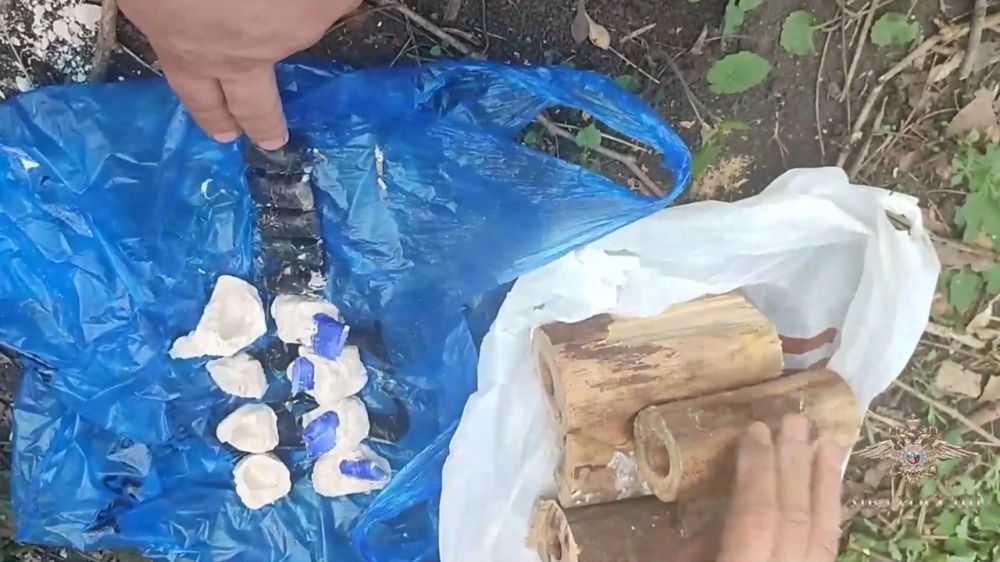 Ирина Волк: В Донецке полицейские задержали подозреваемого в наркоторговле