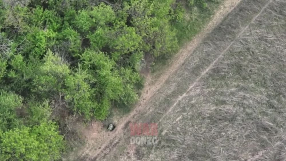 WarGonzo: ��� ���� ������� ������� �������� ���������� ����������� �� �������� ������