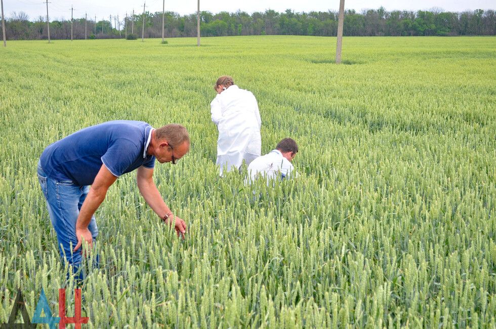 ������� ��������� � ����� ������ ������� � ����������� ������� � ���