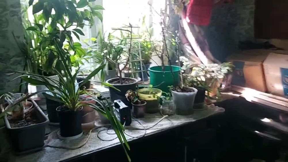 ��� ������� ��������, ���������� ��������� �� ������� ���