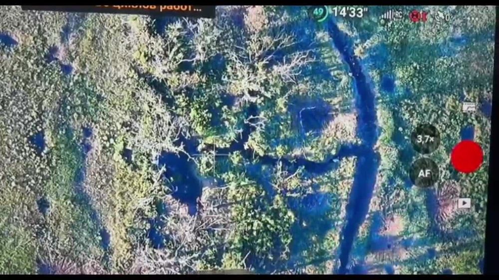 ����� �����: ������� ����� ��������� ����������� � ������� � �������������