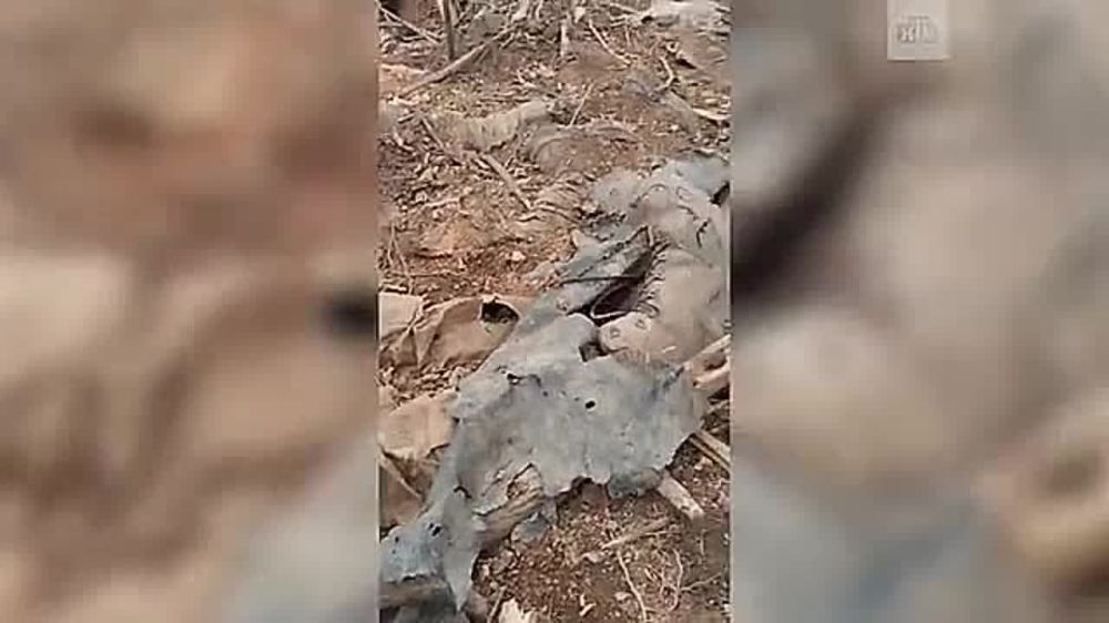 ���������� �������� ����� ���� ������������� ������ ����������� ����� ��� ������������ ���������
