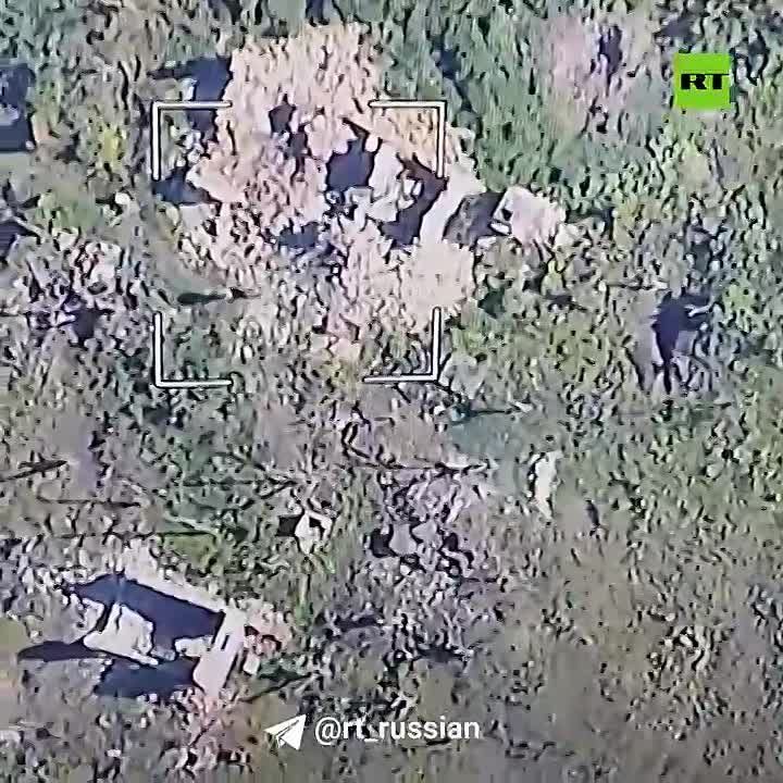 ����� ����������� ��������� ��� ��� ������������ ��������� (���)