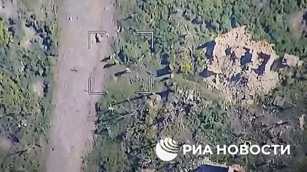 ����� �����: ����� ���� �� ������������ ���������