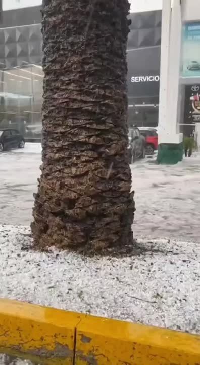������� ���������� ������� � ���: ������ �������� � �������� ����� � ������������ ������ ������ �������� �������� ����������