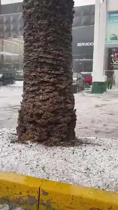 ����� ������� ������ � ������ � ������ ������ �������� "�������" ����������