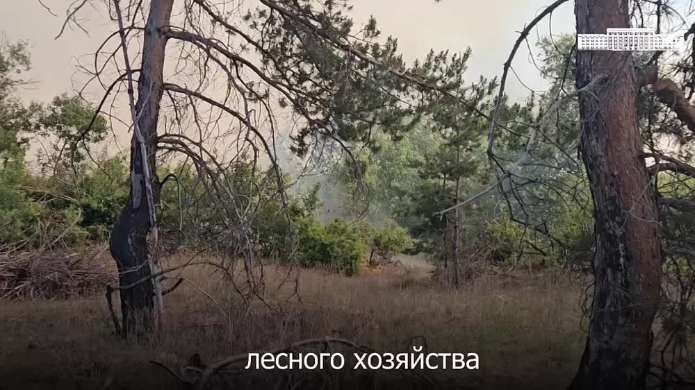 ����� �� ����������������� ������ ������ ��-�� ������ ������� � ��������-��������� � ������������� ������� ���, ����� ������� ���������� ���������� ����� 780 ��������, �������� � ������������ �������������