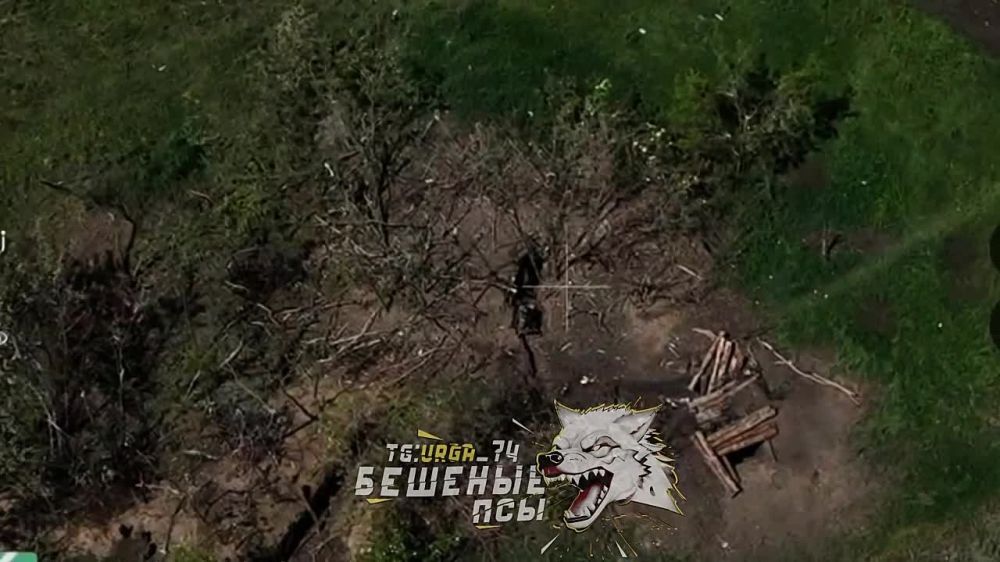 Борис Рожин: Прямое попадание дроном-камикадзе по солдату ВСУ