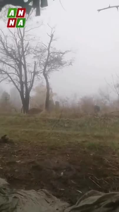 "���� ������, ��� ���� ����������
