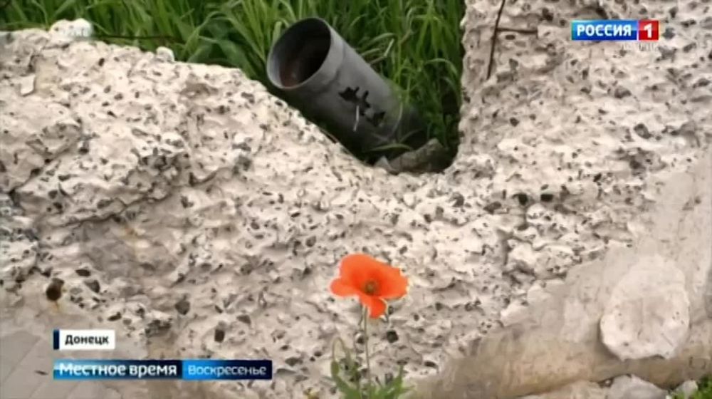 ������ �������: ��������� ������� � ���, ��� ���������� ����� � ������� ������� ������ �������