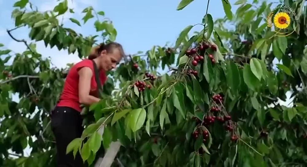 �������� ����������: �������, � ���������� �������� ������� ����� �������