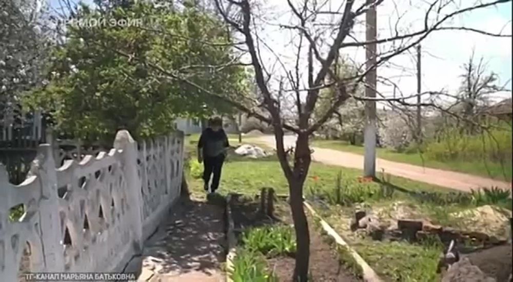 ������� �������: ���������. �� ������ ����� ����: