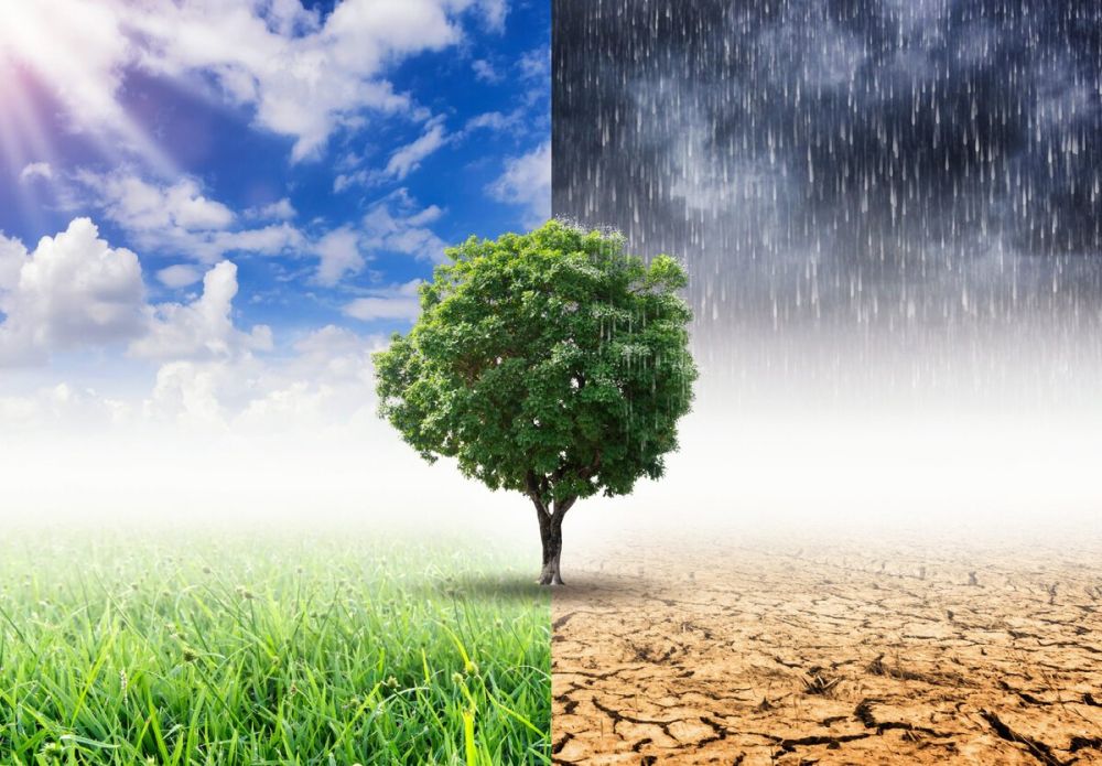 ������� ������������� ������������ ��. .�