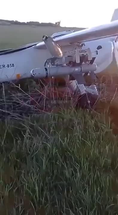 ���� �������� ������ �������� ����������� ���������, � OSINT-�������� Bild и���