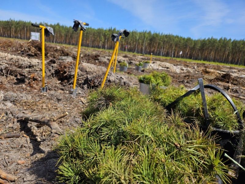 � ������������� ������� ������� �������� ������� ��������� ����� � ����� 10-����� ����������� ���