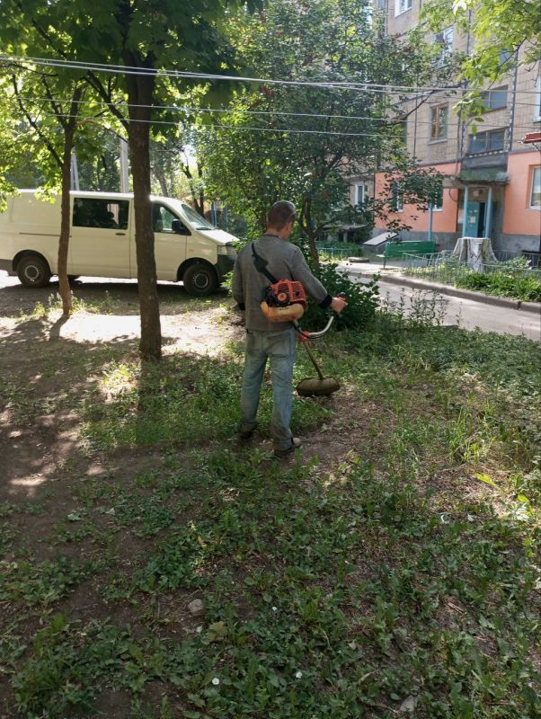 ���� �����������: ������ ������������ ����������� ���� ��������� ������ �� ��������� ������� � ������� �� ���������� �. ������: