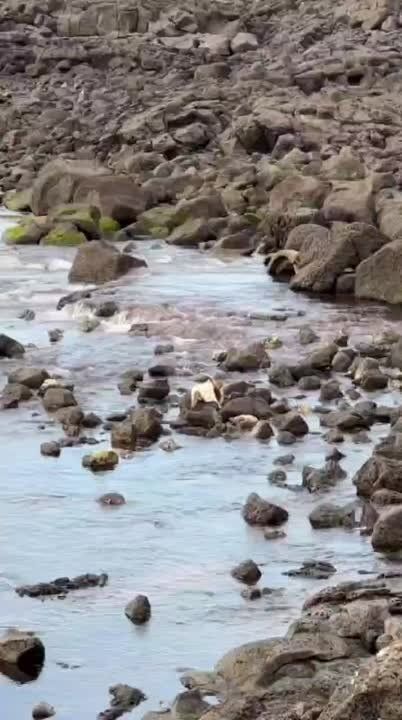 ���- ������� ������������ � ������� �������