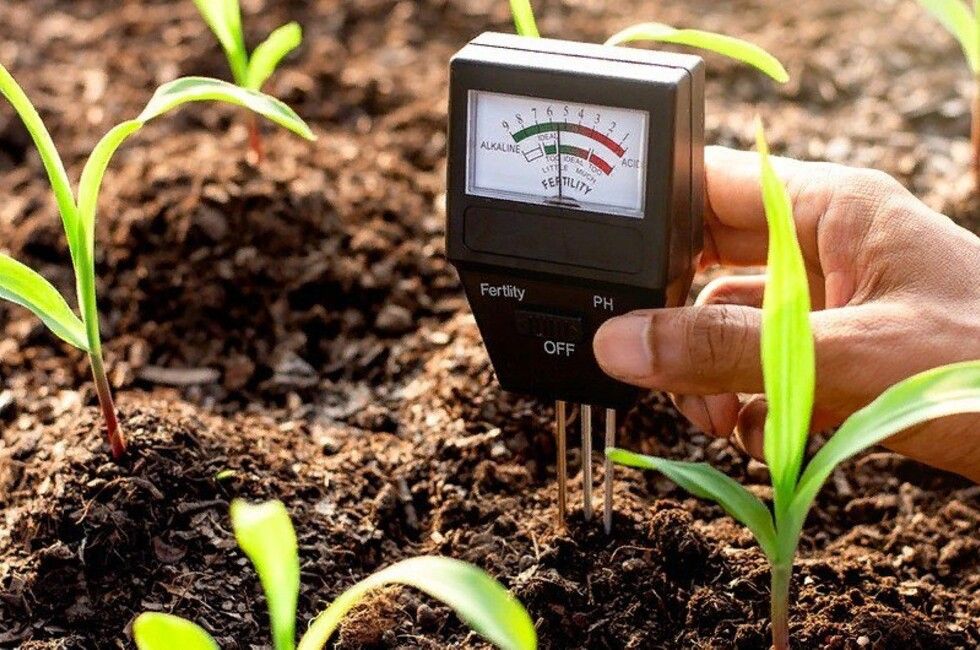 ������ �� ���� ����� �������� ��������� ����������� �������� ���������������