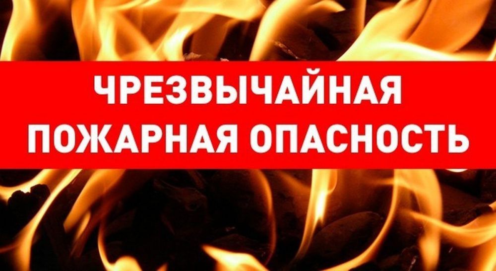 ����� �����: ��� ���: ��������� ������������ ��������������� (5 �����)